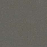 Cx.20 Charcoal Ant 20x20 (200x200)