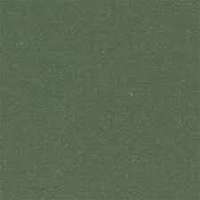 Cx.20 Green Australian Vea 20x20 (200x200)