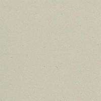 Cx.20 Pearl Grey Per 20x20 (200x200)