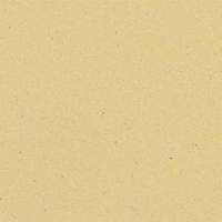 Cx.20 Vanilla Van 20x20 (200x200)