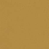 Cx.20 Yellow Jau 20x20 (200x200)