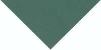 Winckelmans Метлахская плитка Tr.10 Dark Green Vef 10x10x14
