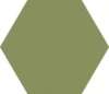 Hex.10 Green Veu 10x11.5 (115x100)