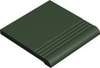 Step Tread Nm10 Dark Green Vef 10x10 (100x100)