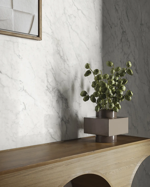 ������������ Gardenia Orchidea Bon Ton