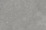 Protiles Pietra PT60F7047 Pietra Grey Matt 600x600x9 фото-3