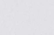 Vizavi Пепел ZA-L12502 Пепел Матовый 1200x600x9 фото-2
