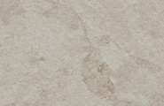 Kerama Marazzi Сплит KM6060G1251R8ALT Подступенок Сплит бежевый светлый матовый обрезной 60x14,5x0,8 фото-5