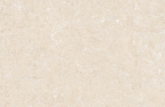 Global Tile Ракушка / Shell GT1206025402MHRR Ракушка / Shell Бежевый 60x120 фото-13