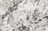 Moreroom Pulm MN291AP321606 Pulm Blossom Polished 6mm 160x320 фото-2