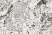 Moreroom Pulm MN291AP321606 Pulm Blossom Polished 6mm 160x320 фото-3