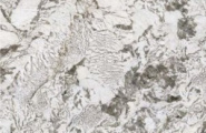 Moreroom Pulm MN291AP321606 Pulm Blossom Polished 6mm 160x320 фото-4