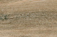 Navarti Dakaris Dakaris Golden 19,5x120x0,9 фото-8