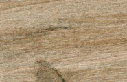 Navarti Dakaris Dakaris Golden 19,5x120x0,9 фото-15