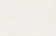 Cerdomus Miralith 108561 Miralith Trame Gesso Matt Rett 60x120 фото-4