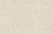 Cerdomus Miralith 108559 Miralith Trame Canapa Matt Rett 60x120 фото-10