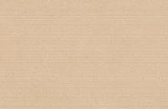 Cerdomus Cohesa 109299 Cohesa Tracce Ocra Matt Rett 60x120 фото-5
