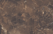 Velsaa Copper Slab Black Glossy 60x120 фото-5