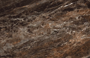 Bluezone Romano Versailles Brown 60x120 фото-9