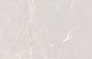 Neodom Stone N20552 Persian Grey Matt 60x120 фото-4