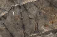 Bluezone Arizona Green 60x120 фото-5