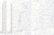 Grespania Mural 06DMU48 Mural Blanco Relieve 5.5x45 фото-6