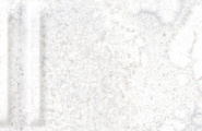 Grespania Mural 06DMU48 Mural Blanco Relieve 5.5x45 фото-14