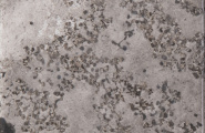 Cifre Core Core Gray Brillo 15x15 фото-2
