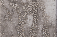 Cifre Core Core Gray Brillo 15x15 фото-6
