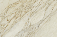 Serenissima Palazzo Calacata Dorato Silk Rett 60x120 фото-3