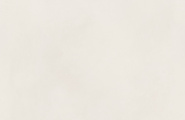 AVS Beton R0009-MA Бетон Бьянко матовый 60x120 фото-5