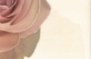 Mainzu Lucciola Decor Cuore 20x20 mix фото-7