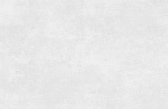 Alma Ceramica Beton Evo GFU60120BTE00R Beton Evo матовый граниль 600x1200x8.5 фото-2