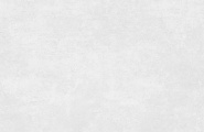 Alma Ceramica Beton Evo GFU60120BTE00R Beton Evo матовый граниль 600x1200x8.5 фото-4