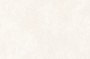 Alma Ceramica Beton Evo GFU6060BTE04R Beton Evo матовый граниль 600x600x9 фото-6