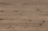 Kerald Amazonian Amazonian Cocoa Glow 60x120 фото-2