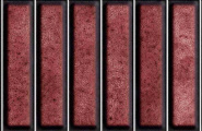 El Barco Domino Domino Cobre Glossy 15x30 фото-2
