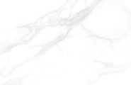 EVOtile Statuario К60605 Statuario Grey Glossy 60x60 фото-3