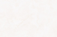 EVOtile Camelia К12621 Camelia Crema Glossy 60x120 фото-2