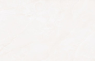 EVOtile Camelia К12621 Camelia Crema Glossy 60x120 фото-5