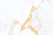 EVOtile Calacatta К12625 Calacatta Bright Glossy 60x120 фото-3
