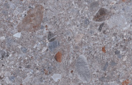 Ocean Ceramic Fossil Fossil Grus Matt 60x120 фото-5