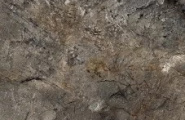 Duna Arizona Образец 20х30 см керамогранита Arizona Green полированный 60x120 фото-8