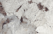 Staro Palacio  Patagonia Cool High Gloss 60x120 фото-2