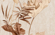 Naxos Mind 145014 Mind Lya Ivory Molato Rect 120x278 фото-2